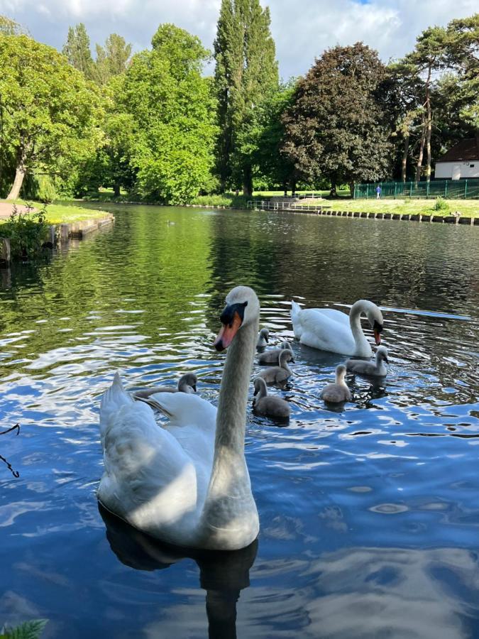 Beddington Park Lodge East Wallington Luaran gambar