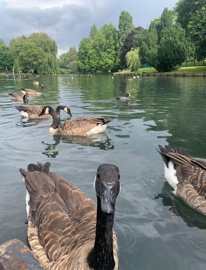 Beddington Park Lodge East Wallington Luaran gambar