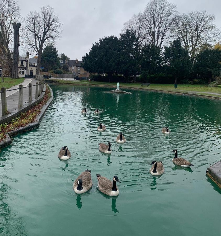 Beddington Park Lodge East Wallington Luaran gambar