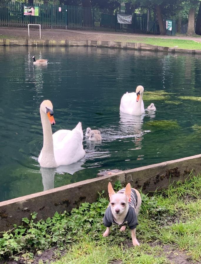 Beddington Park Lodge East Wallington Luaran gambar